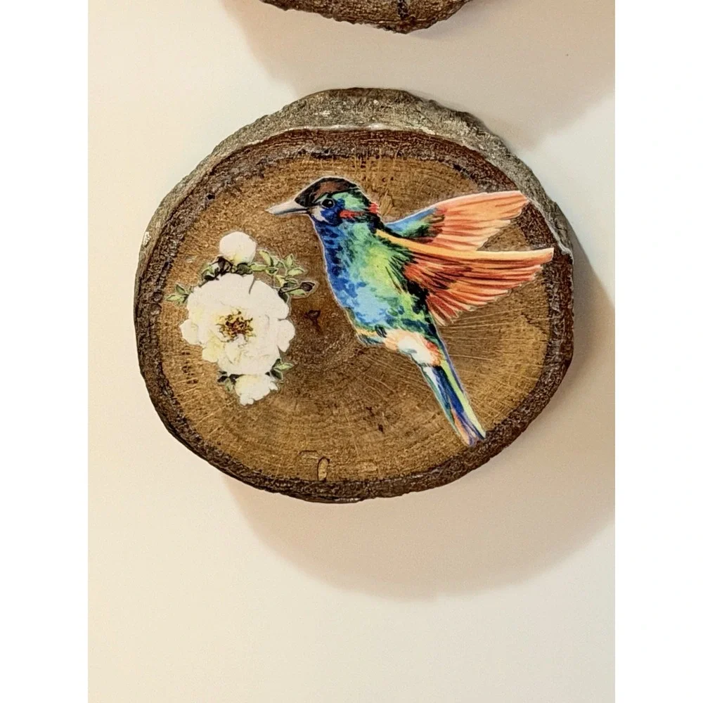 Set Of 4 Natural Oak Wood Bark Bird Magnets